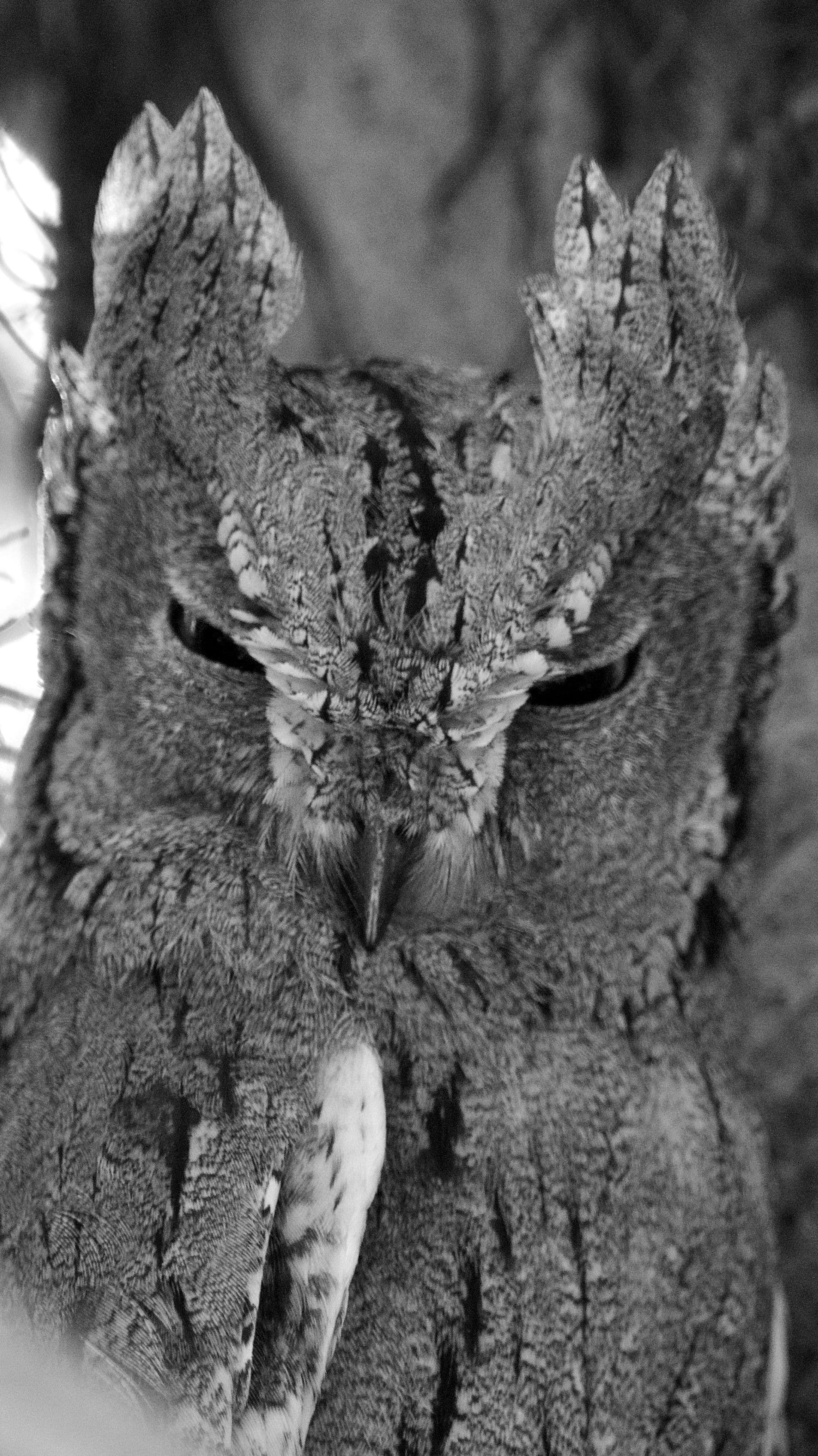 Little Rann Of Kutch