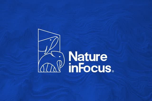 Nature in Focus